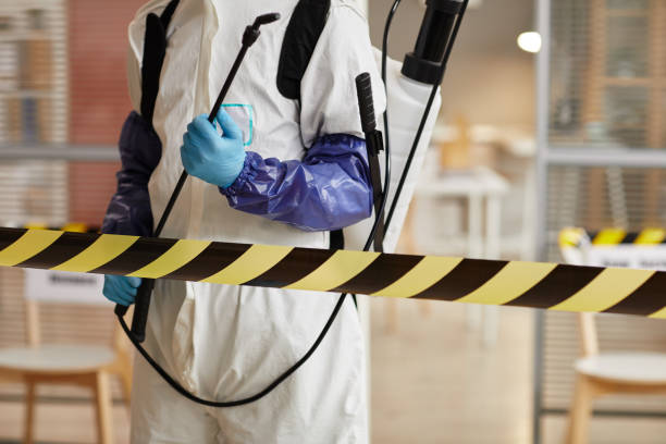 Professional Sewage Cleanup technician working in Inman, NE